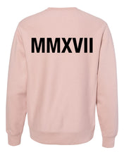 Load image into Gallery viewer, Logo Pullover (Dusty Rose)
